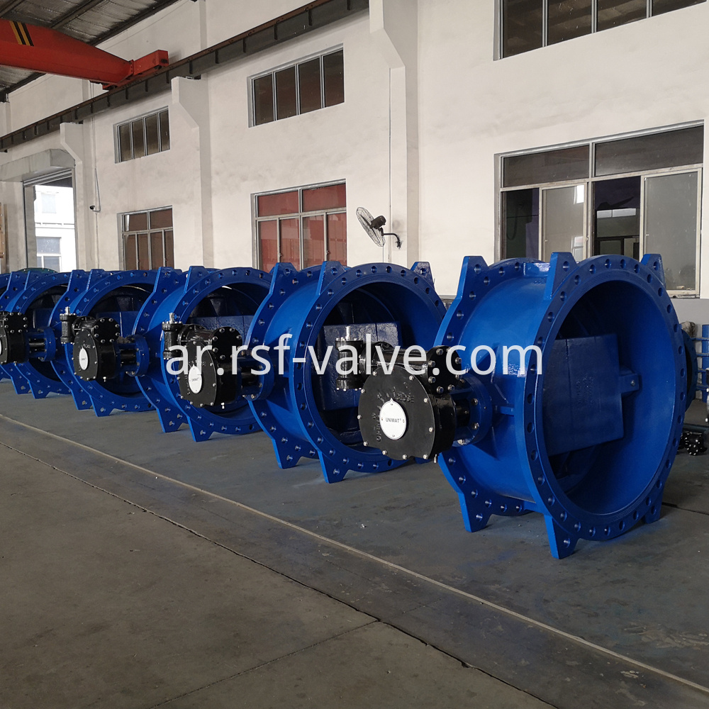 Double Eccentric Flange Butterfly Valve 1